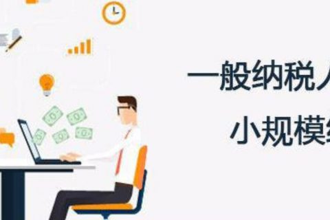 拉薩的一般納稅人和小規(guī)模納稅人納稅方式以及認(rèn)定資格是什么？同內(nèi)地企業(yè)有區(qū)別嗎？