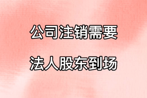 拉薩公司注銷，需要法人、股東到場嗎？
