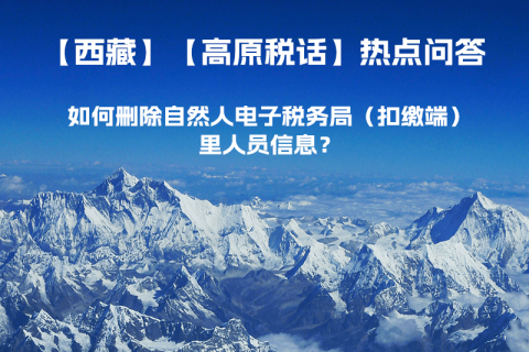 如何刪除西藏自然人電子稅務(wù)局（扣繳端）里人員信息？