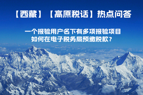 一個(gè)報(bào)驗(yàn)用戶名下有多項(xiàng)報(bào)驗(yàn)項(xiàng)目，如何在電子稅務(wù)局預(yù)繳稅款？