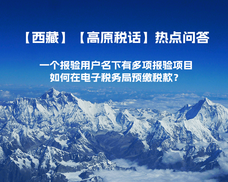 一個(gè)報(bào)驗(yàn)用戶名下有多項(xiàng)報(bào)驗(yàn)項(xiàng)目，如何在電子稅務(wù)局預(yù)繳稅款？