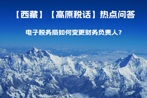 電子稅務(wù)局如何變更財(cái)務(wù)負(fù)責(zé)人？