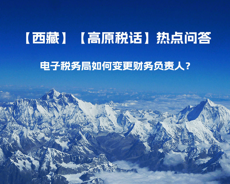電子稅務(wù)局如何變更財(cái)務(wù)負(fù)責(zé)人？
