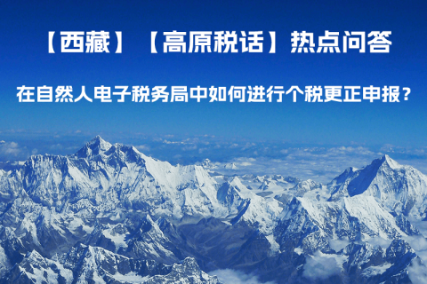 在自然人電子稅務(wù)局中如何進(jìn)行個(gè)稅更正申報(bào)？