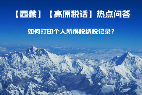 如何打印個(gè)人所得稅納稅記錄？