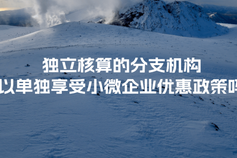 獨立核算的分支機構(gòu)可以單獨享受小微企業(yè)優(yōu)惠政策嗎？