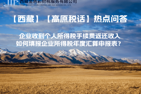 企業(yè)收到個人所得稅手續(xù)費返還收入，如何填報企業(yè)所得稅年度匯算申報表？