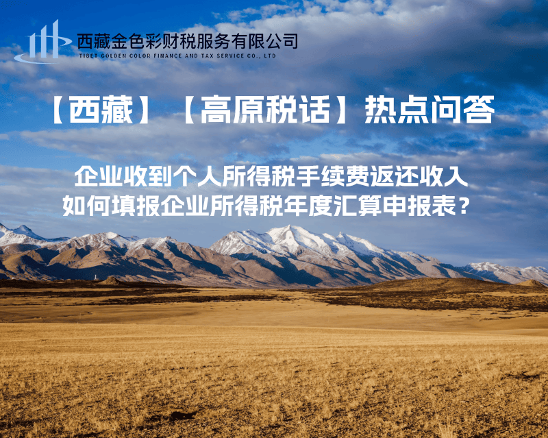 企業(yè)收到個人所得稅手續(xù)費返還收入，如何填報企業(yè)所得稅年度匯算申報表？