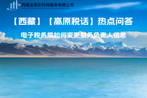 西藏電子稅務(wù)局如何變更財(cái)務(wù)負(fù)責(zé)人信息？
