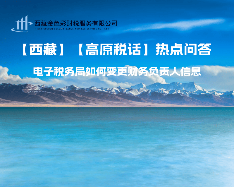 西藏電子稅務(wù)局如何變更財務(wù)負責(zé)人信息？