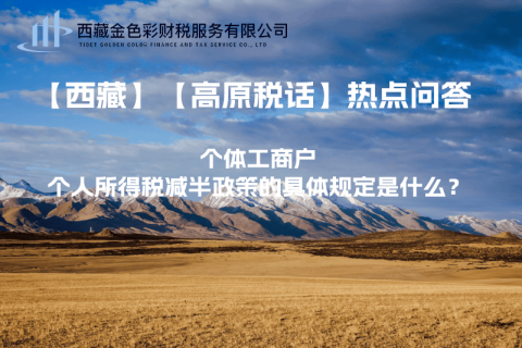 個體工商戶個人所得稅減半政策的具體規(guī)定是什么？